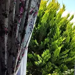 Maviev Hotel Cesme