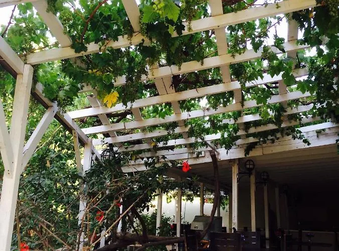 Maviev Hotel