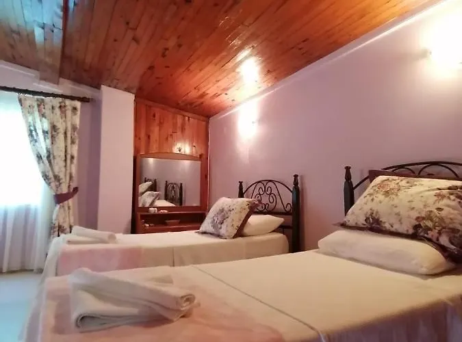 Maviev Hotel 3*