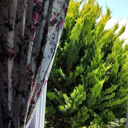 Maviev 호텔 Çeşme
